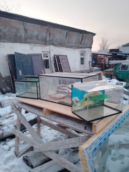 Улица Азаттык дом51 террариум