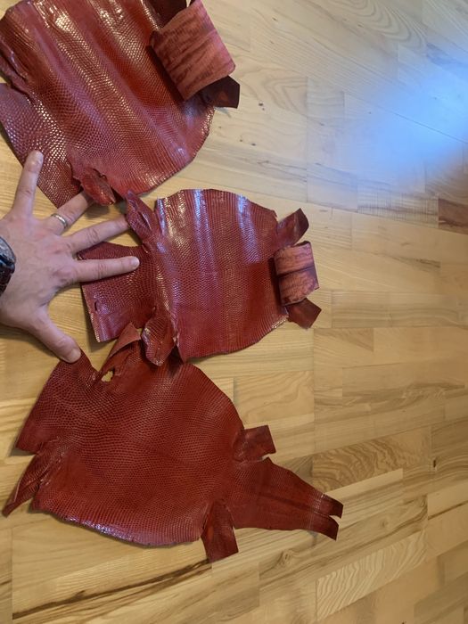 Piele naturala varan reptila exotica