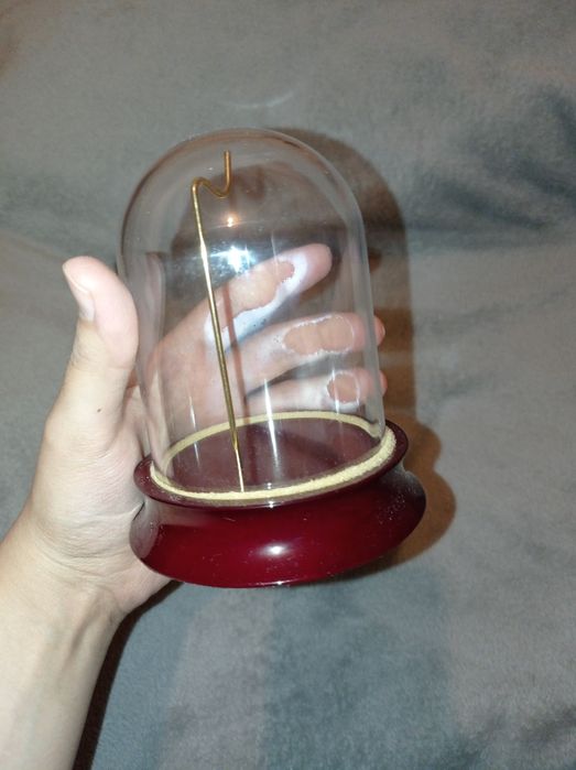 Стеклянный футляр