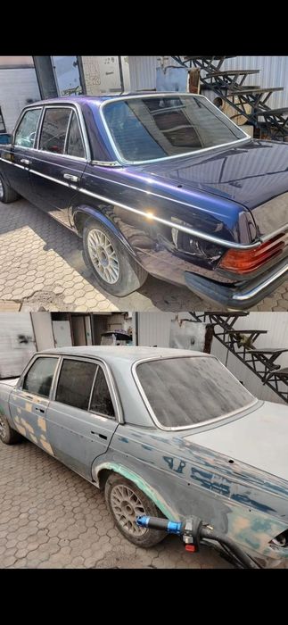 Костоправ моляр, покраска