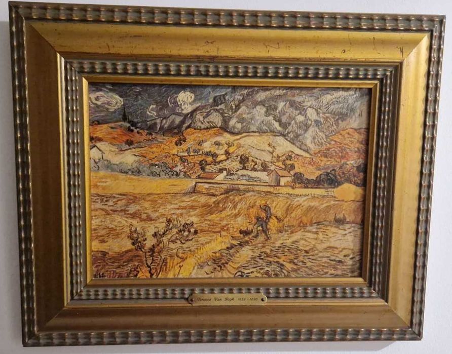 Reproducere Vincent van Gogh intitulată "Câmp împrejmuit