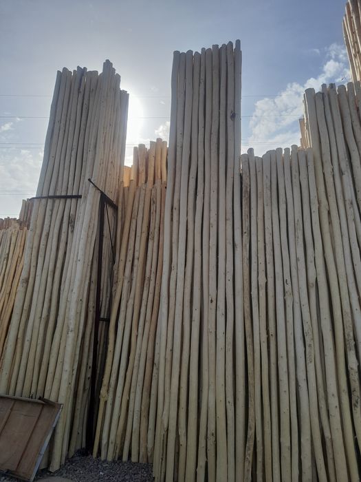 ARZON TERAK masulotlari