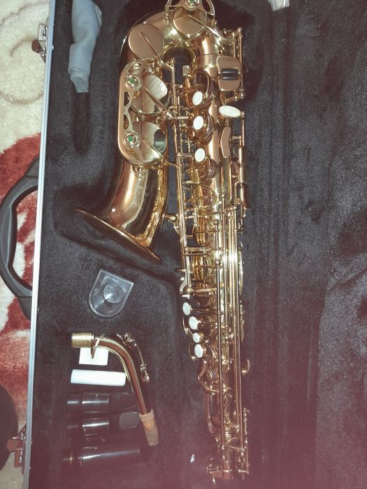 Vand saxofon Parrot 640L