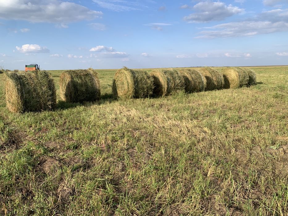 Продам сено рулонное
