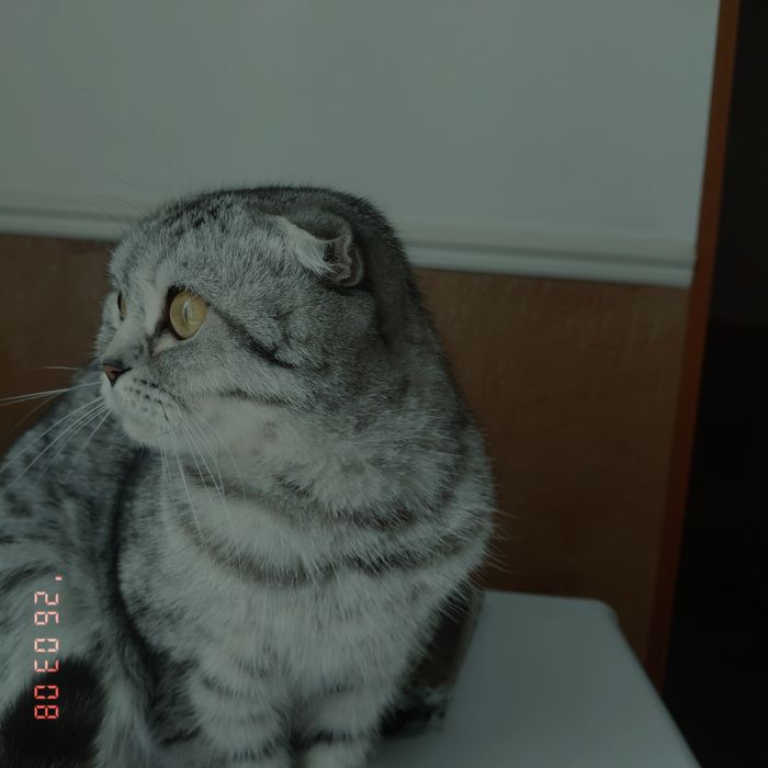 Девочка очень милай