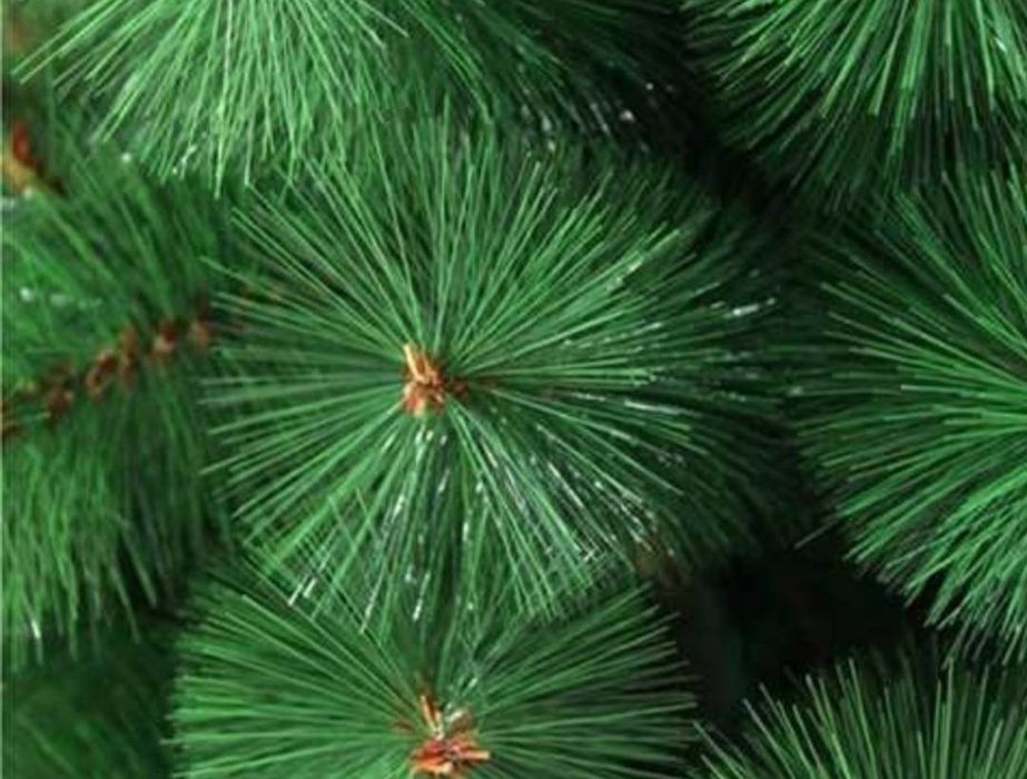 Коледни елхи с шишарки и сняг - ТОП качество и цена !