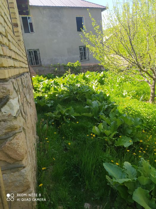 Chimgan qishligida yer sotiladi