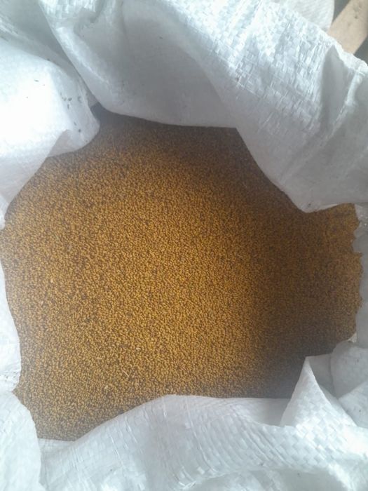 Урык , семена , жоңышқа,  клевер.й