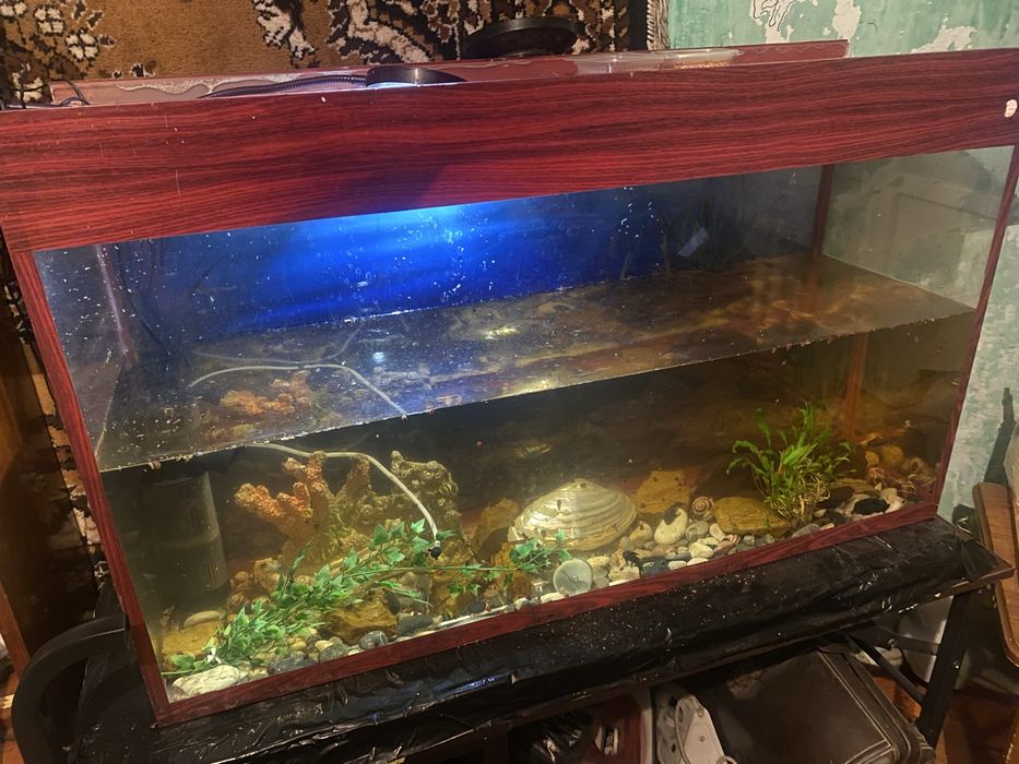 Прдается аквариум с столом