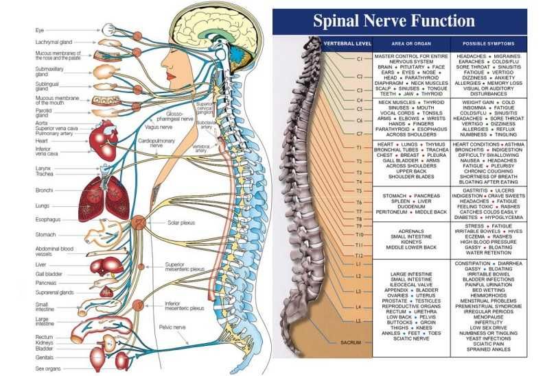 Dispozitiv Original iTeraCare Classic - Prife International