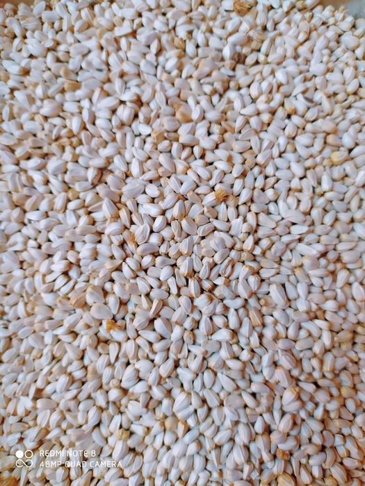 Корм для всех видов декоративных птиц