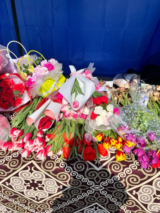 Тюльпаны свежие,пишите в ватсап