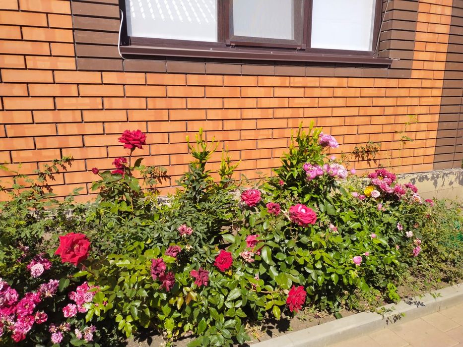 Продам комфортный дом.