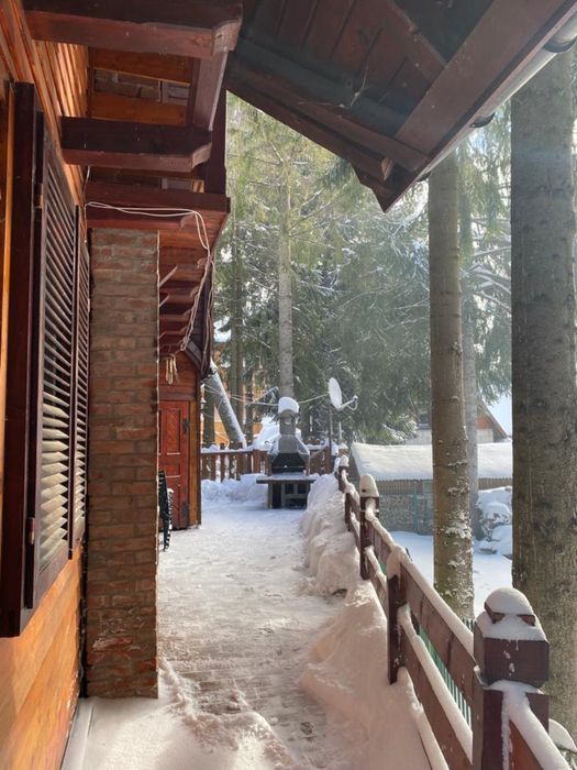 Cabana de inchiriat Baisoara Buscat langa partie