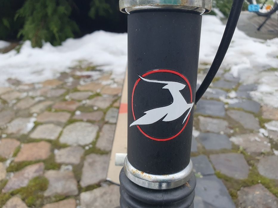 Trotineta baieti cu 2 roti