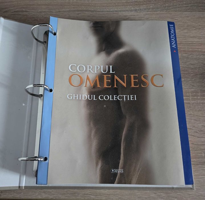 Enciclopedii ilustrate excepțional pentru întreaga familie