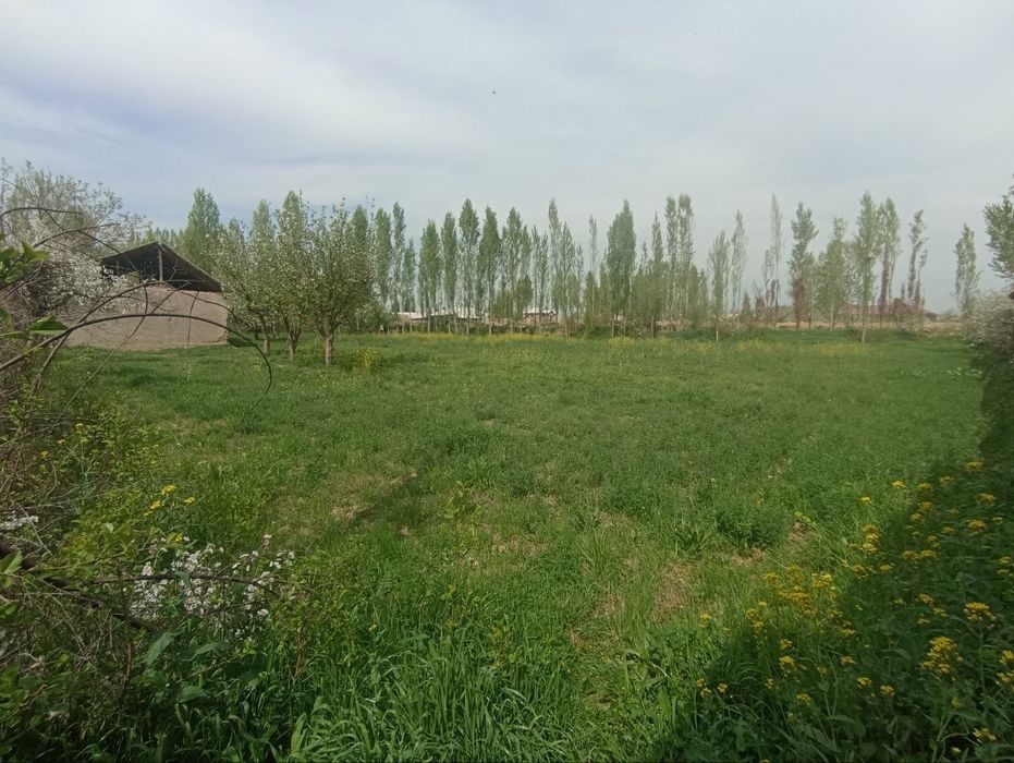 Yer sotiladi vremiyankasi bilan