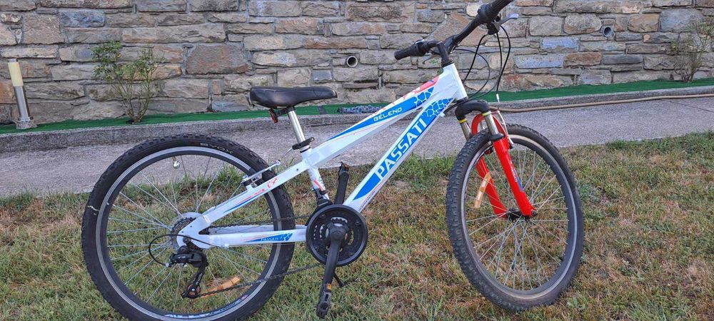 Детски велосипед PASSATI BELENO 24"