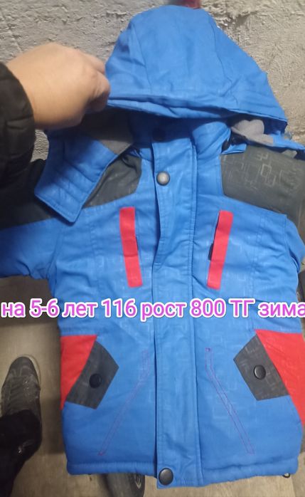 Толокар,Детский коврик,,Копилка, Юг