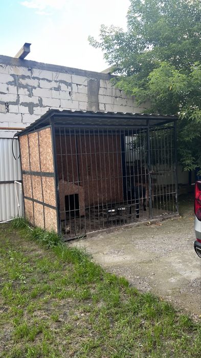 Вольер   в хорошом состояние.