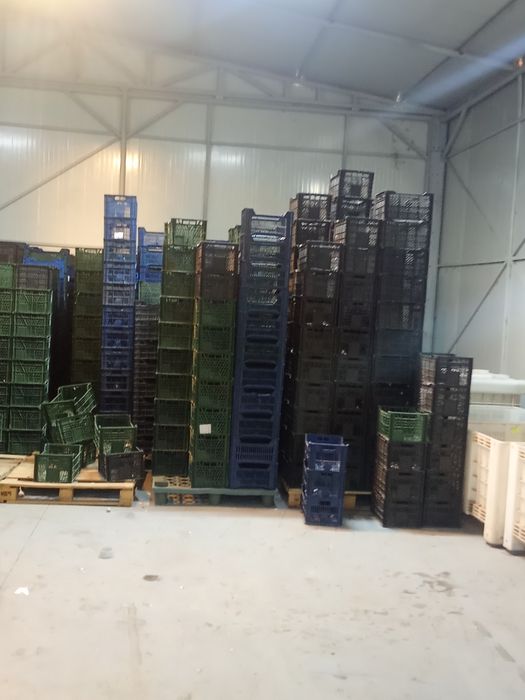 Vând ladite din plastic urgent 1,5 lei lădiță