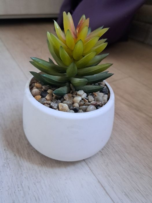 Продам искусственные растения