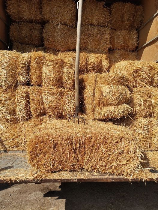 Somon pres bor. Yetkazib berish ham bor