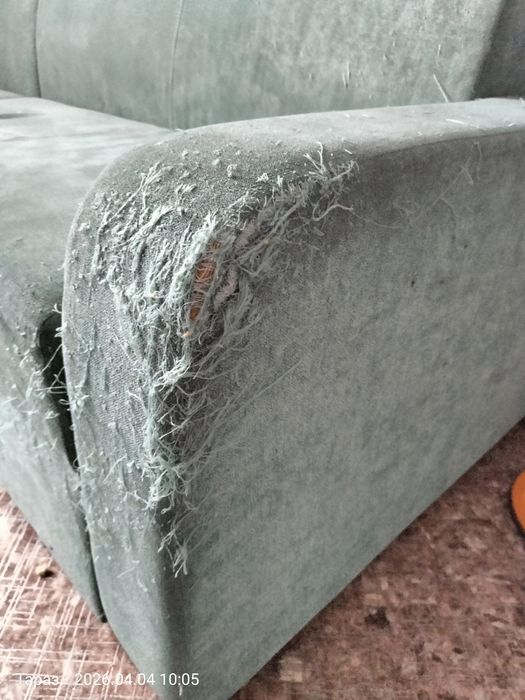 диван бу.- мысык тырнап тастаган