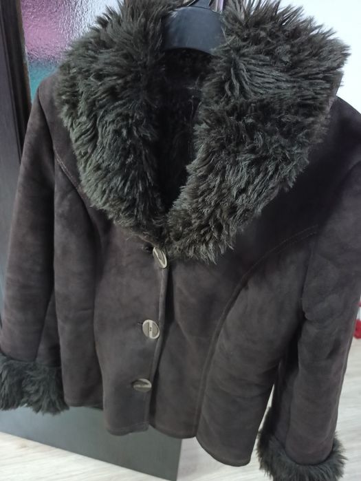 Cojocel/jacheta neagra