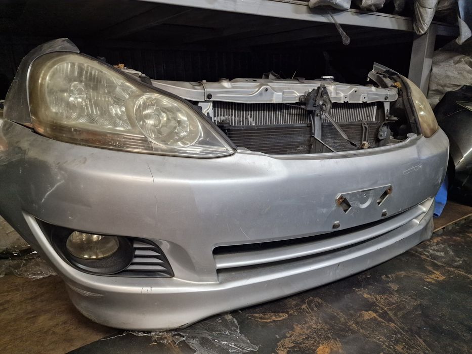 Морда,Носкат Toyoya Ipsum,Picnic