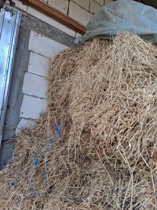 Vând baloti  trifoi