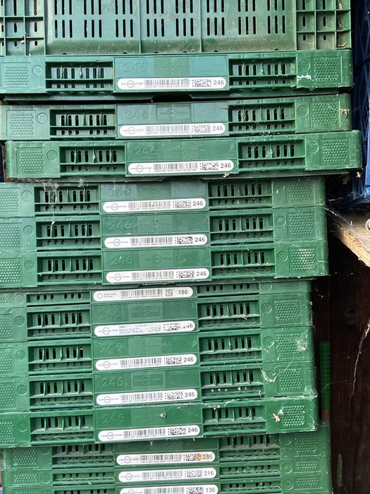 Ladite plastic NOII ! pliabile rezistente disponibile