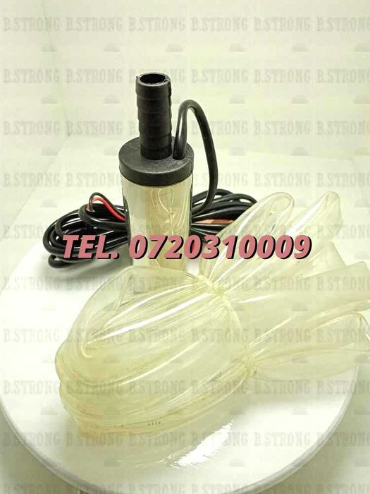 Pompa De Ulei Motor 12 V 12l Per Min