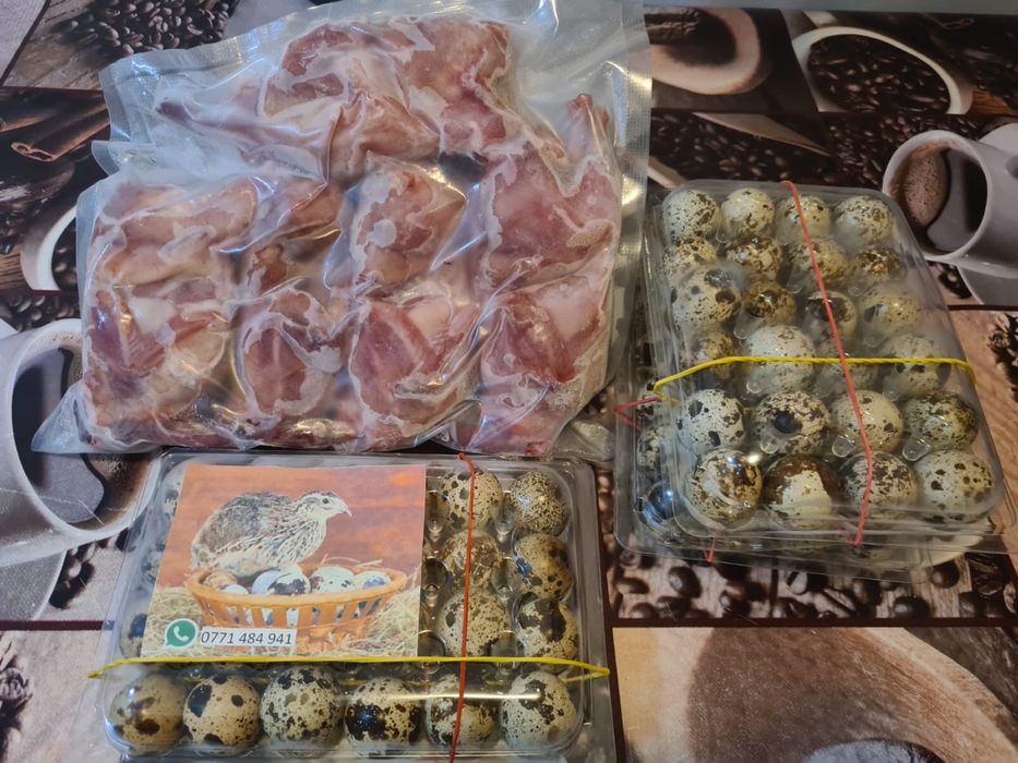 Oua de prepelite ,pui, pasari , carcasa