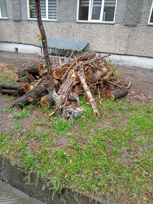 Дрова бесплатно, самовывоз