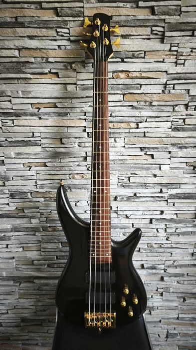 Chitara bass 5 corzi Project cheite Guyker - Garantie