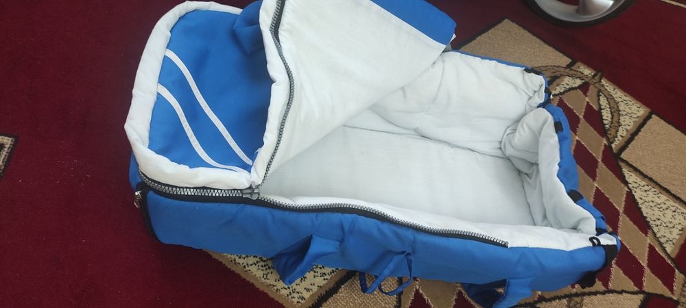 Коляска ETONICO зима-лето