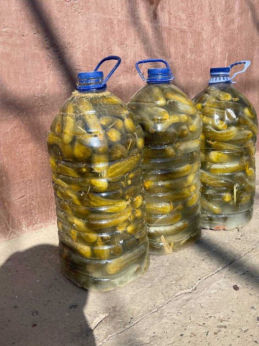 Огурцы соленые .