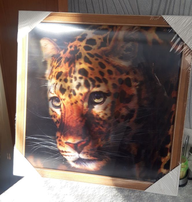 Новая картина 5D. Леопард!