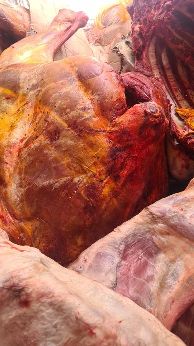 Трахея, обрезь для собак