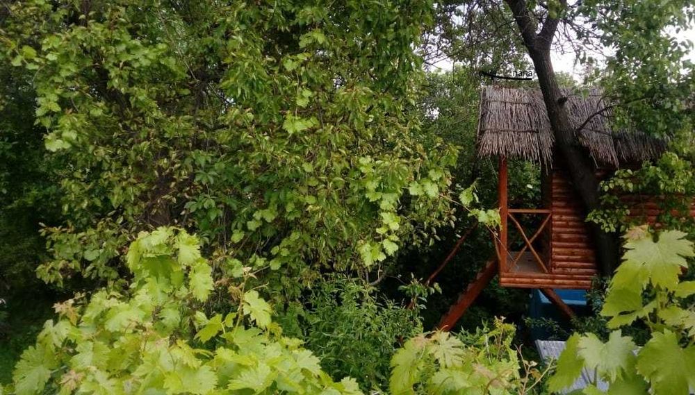 Дача Посуточно ! Кайнар-Булак