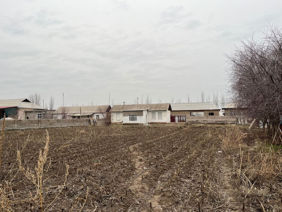 Тайор уй сотилади 20 сотик тошкент вилойоти Оққорганда