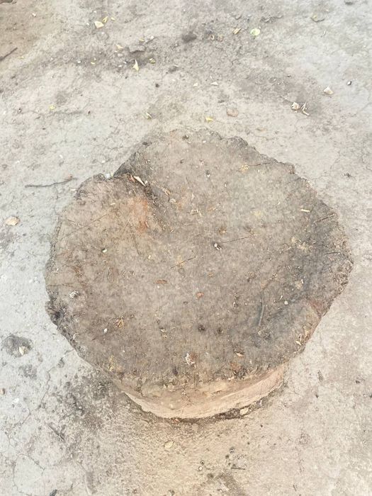 Qassoblar uchun kunda