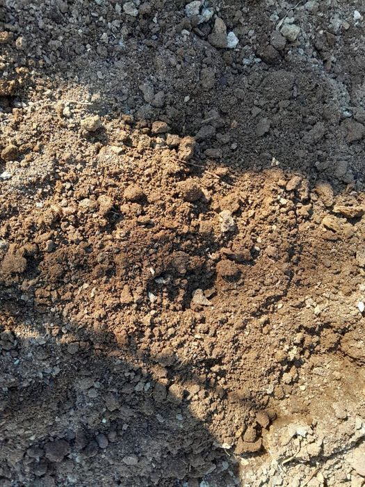 Nuri o‘g‘it biogomus