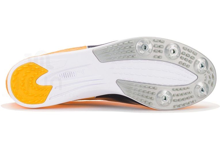 Puma evoSpeed Mid Distance 4 Men's Spikes - Sunset Glow