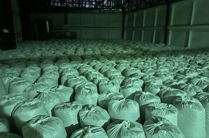 Жем отход от семечки