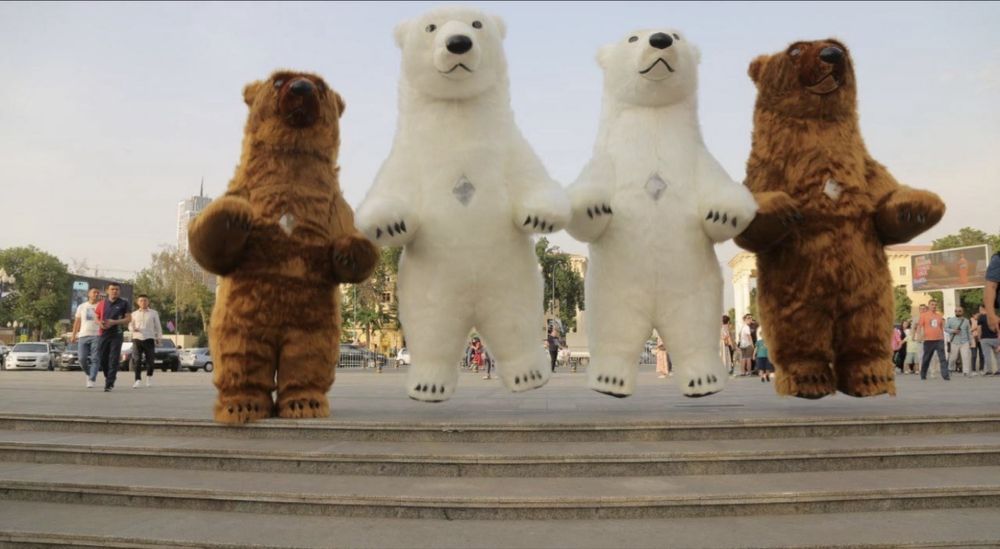 Ayiqlar sotiladi optom