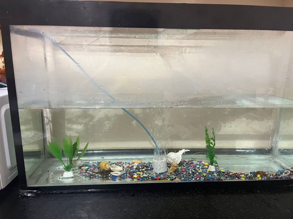 Аквариум сатылады