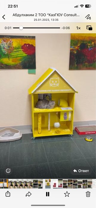 Домик для кошки игровая