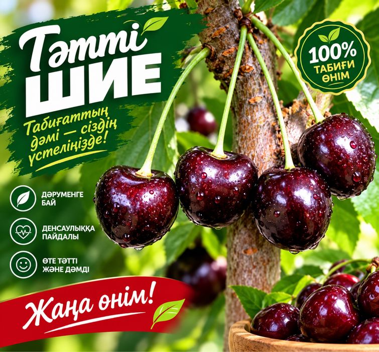 Продается саженцы Вишни